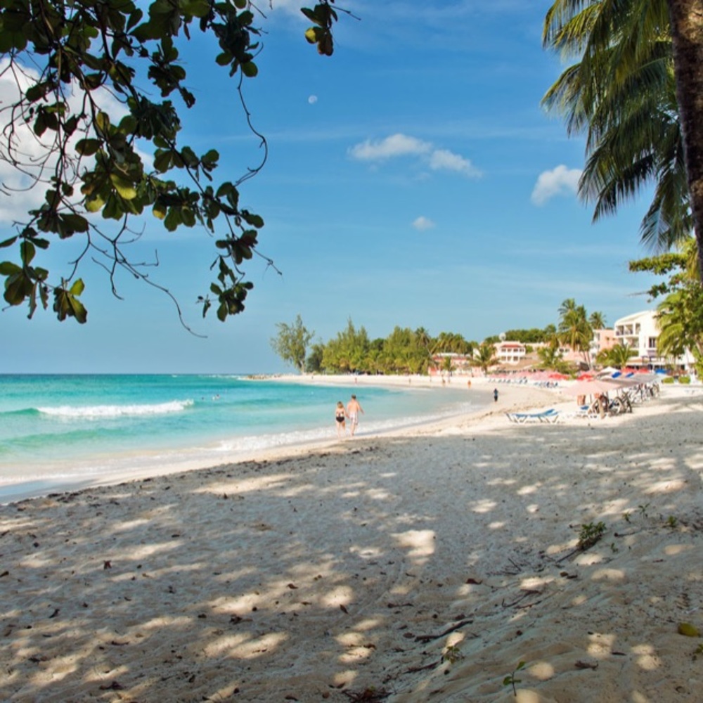 Meet your Posher, Ciara